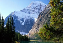 天涯论坛煮酒论史排名大揭秘，不看不知道原来历史大佬这么可怕！